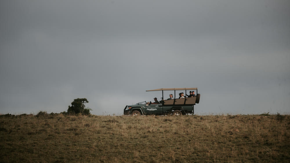 Amakhala Game Reserve