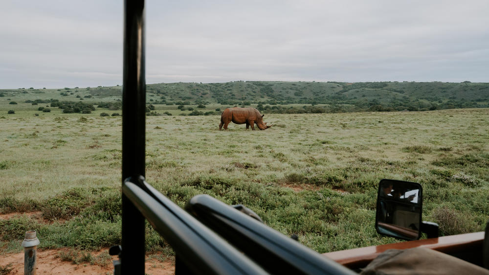 Amakhala Game Reserve
