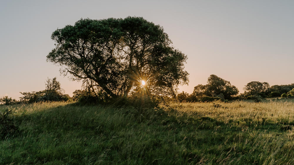 Amakhala Game Reserve