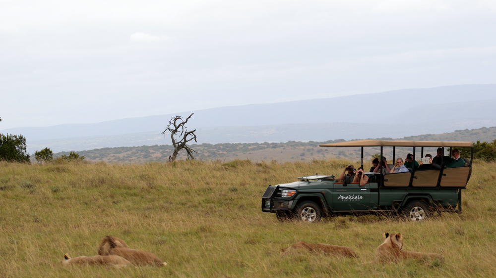 Amakhala Game Reserve