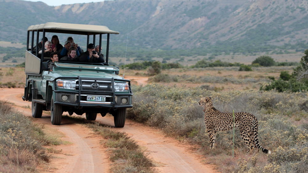 Amakhala Game Reserve