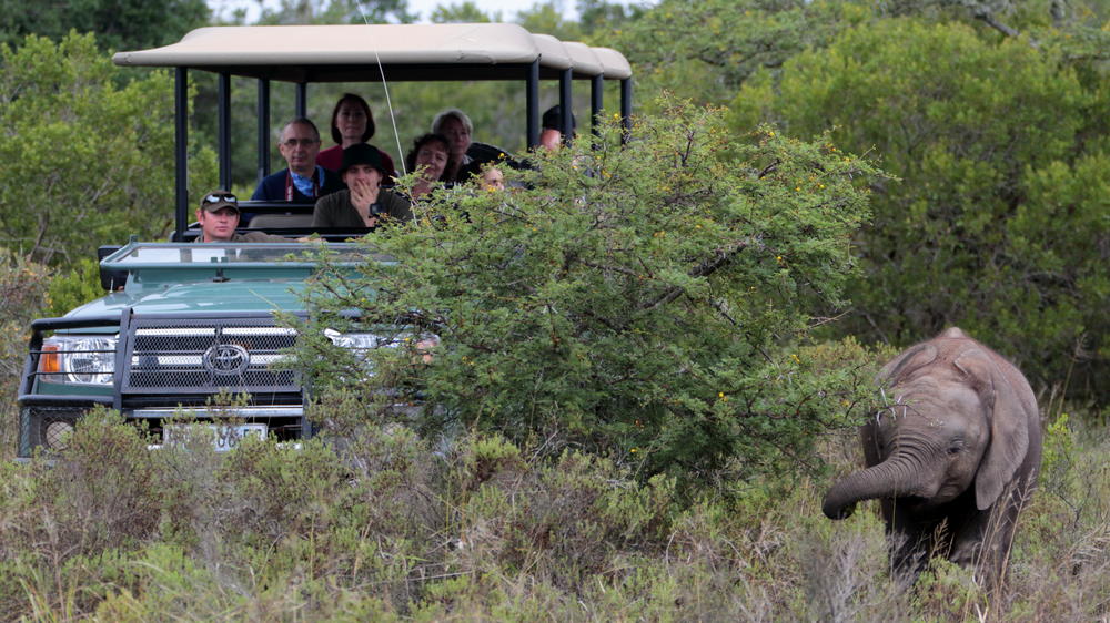 Amakhala Game Reserve