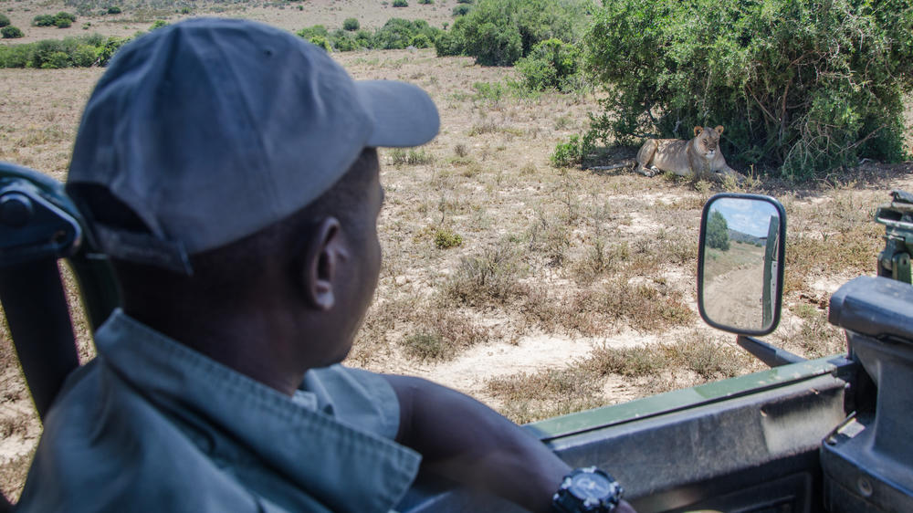 Amakhala Game Reserve