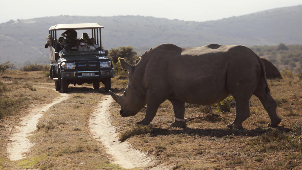 Amakhala Game Reserve