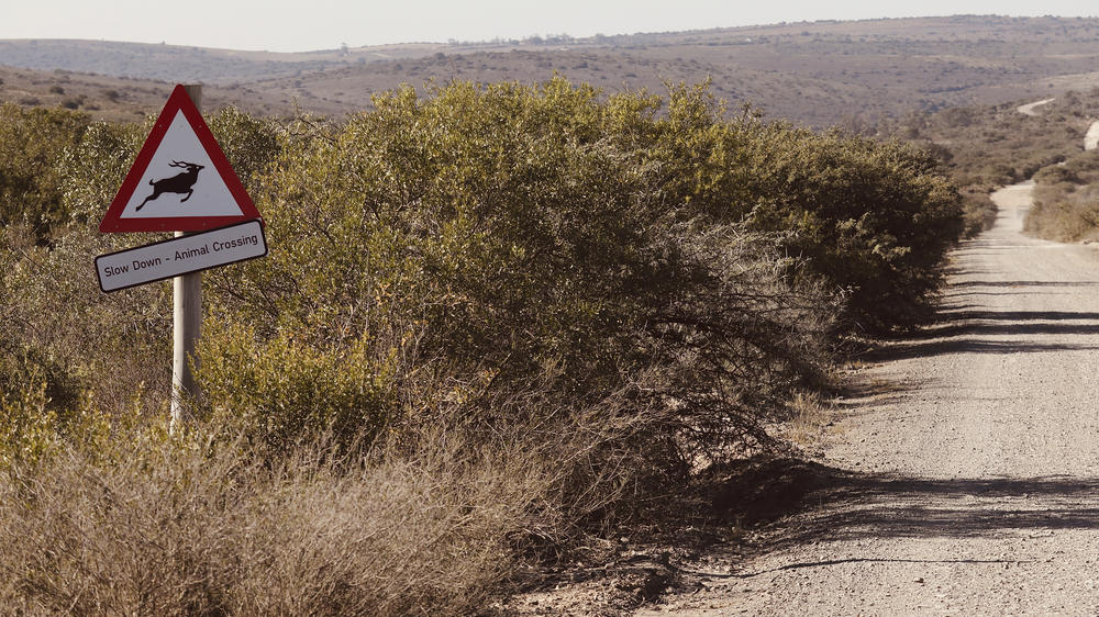 Amakhala Game Reserve