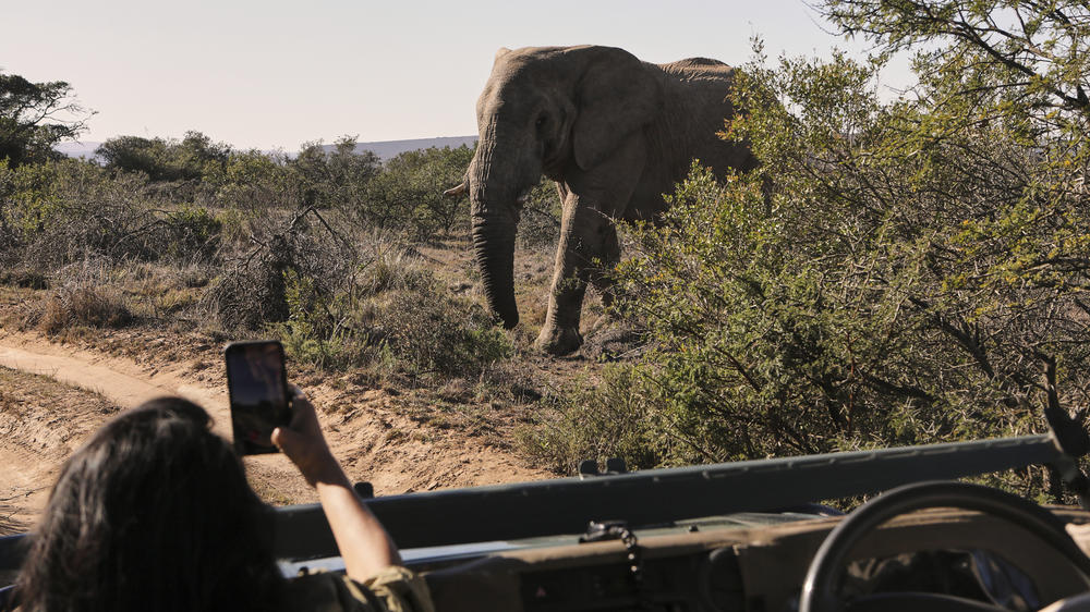 Amakhala Game Reserve