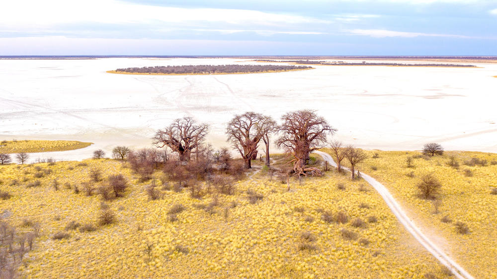 Nxai Pan National Park