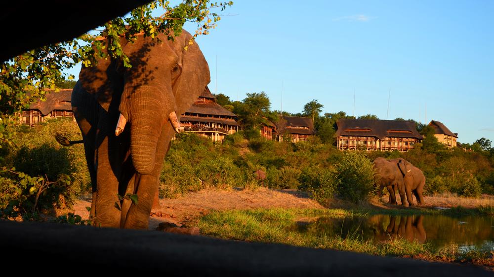 Victoria Falls Safari Lodge