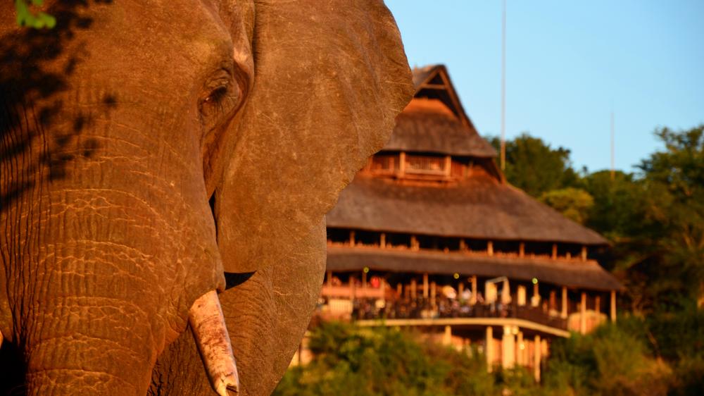 Victoria Falls Safari Lodge