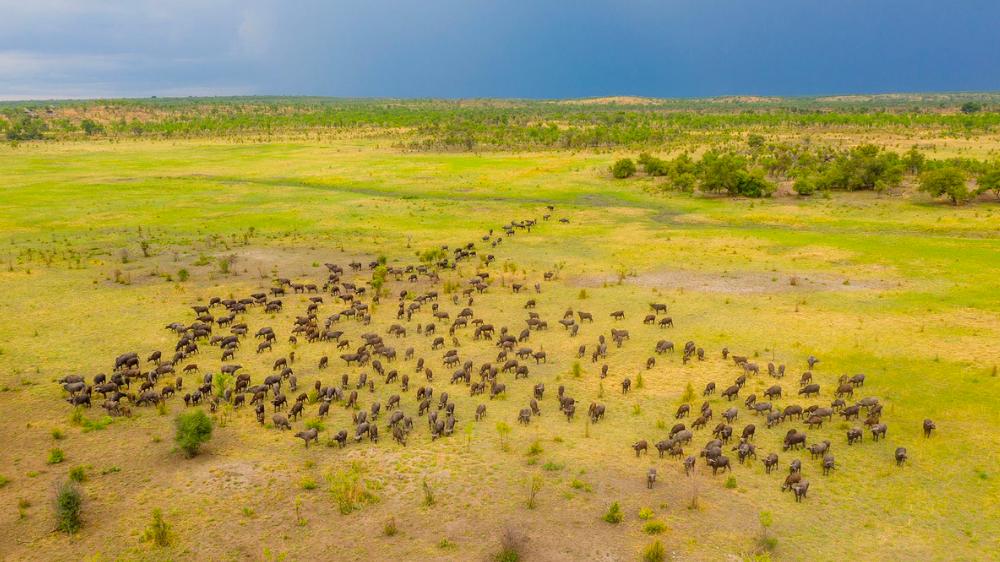 Hideaways Nantwich Lodge, Hwange