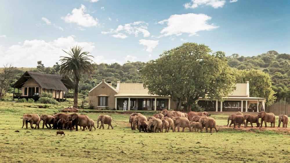 South Africa - 3-day Eastern Cape Safari with Gorah Elephant Camp - Tailored Driven
