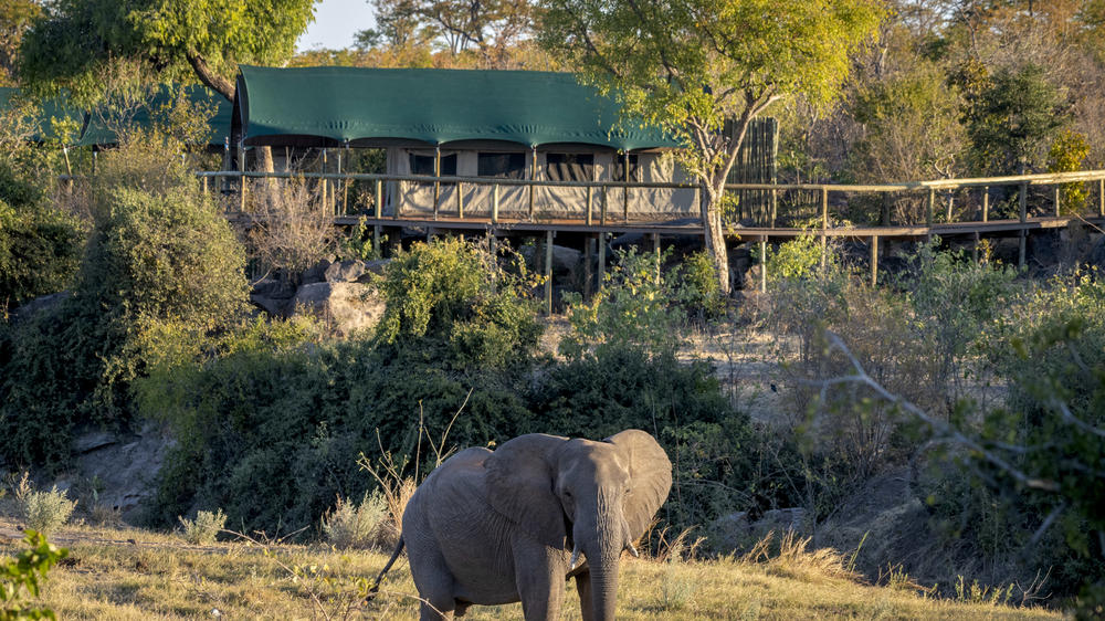 Deteema Springs Camp