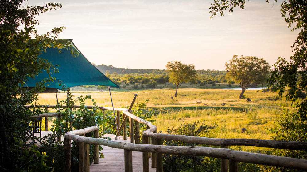 Deteema Springs Camp