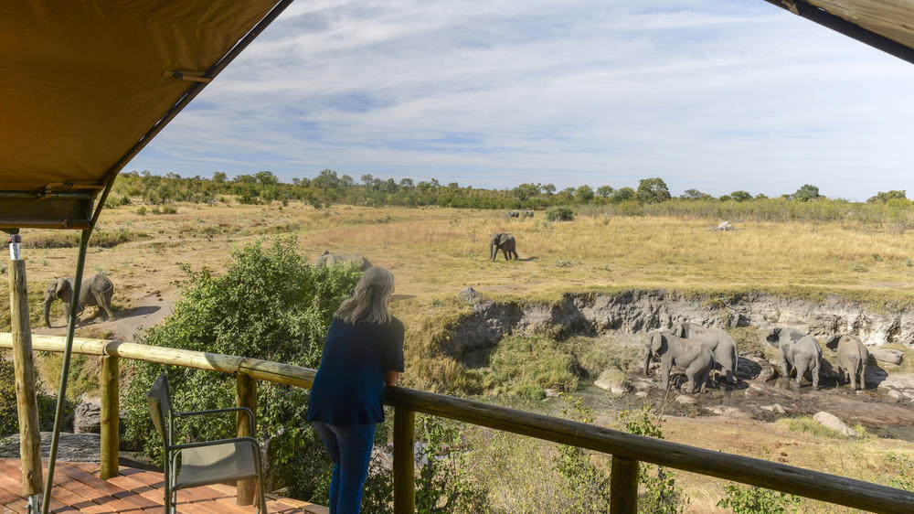 Deteema Springs Camp