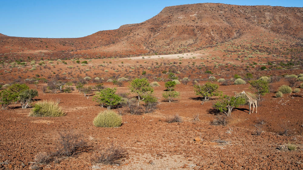 Damaraland