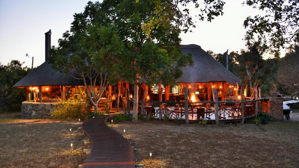 South Africa - 3-day Eastern Cape Safari with Sibuya Forest Camp - Private accommodated