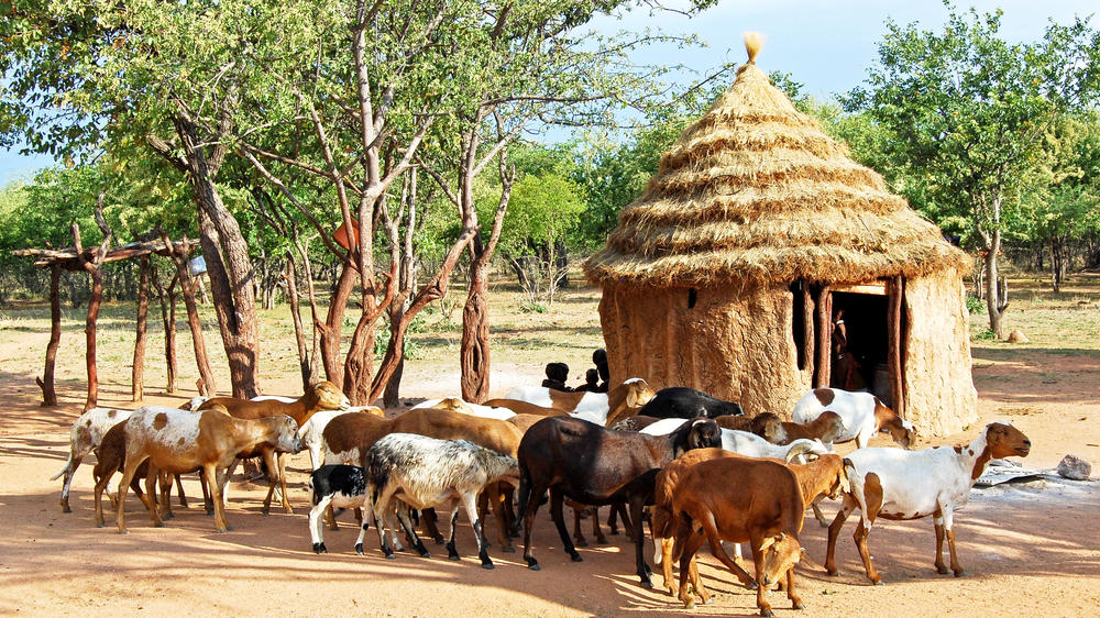 Etosha Heights Private Reserve