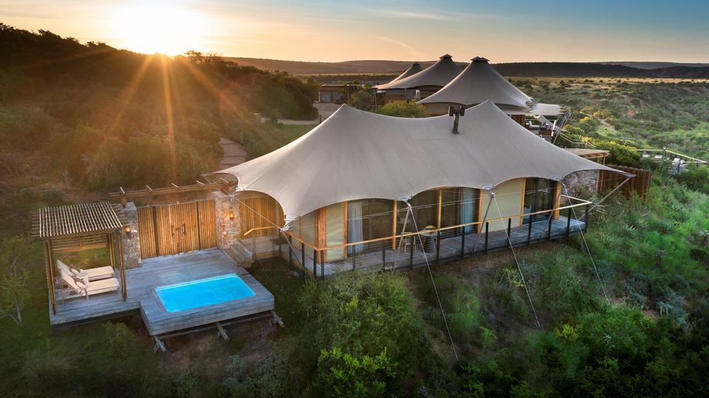 Sindile at Shamwari Private Game Reserve