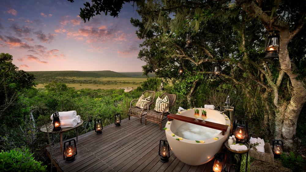 Sindile at Shamwari Private Game Reserve