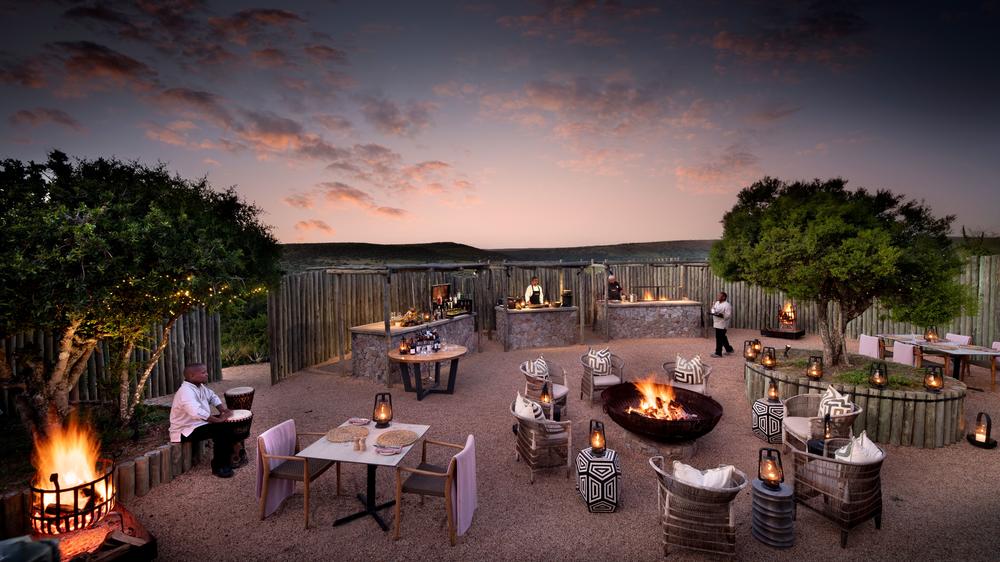 Sindile at Shamwari Private Game Reserve