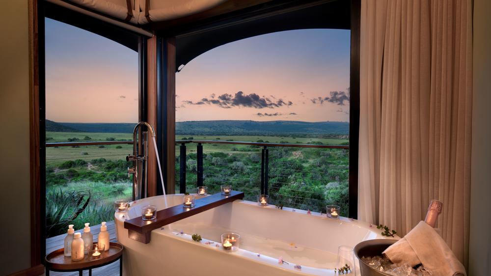 Sindile at Shamwari Private Game Reserve