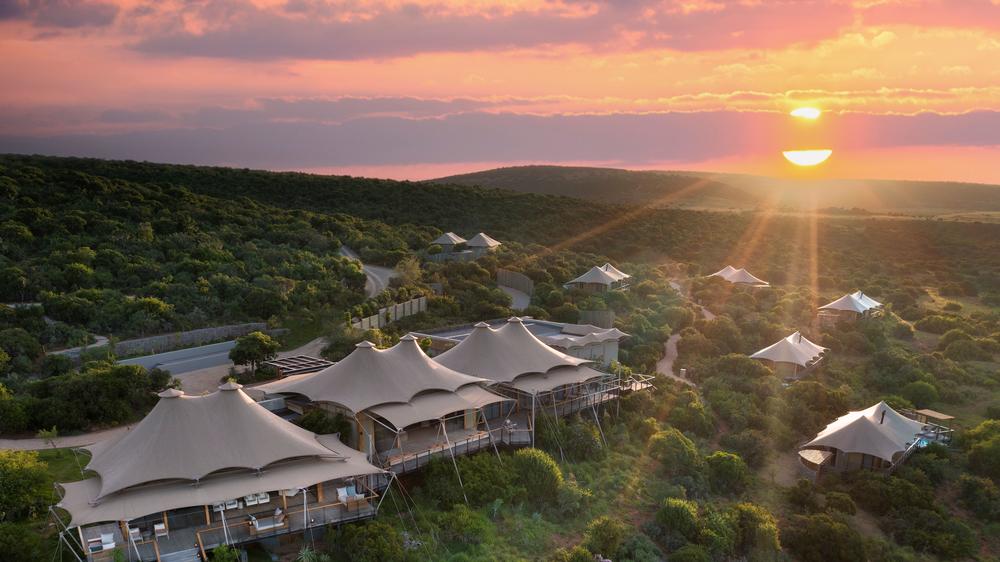 Sindile at Shamwari Private Game Reserve