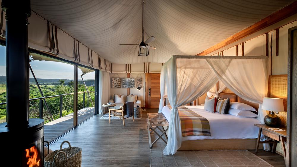 Sindile at Shamwari Private Game Reserve