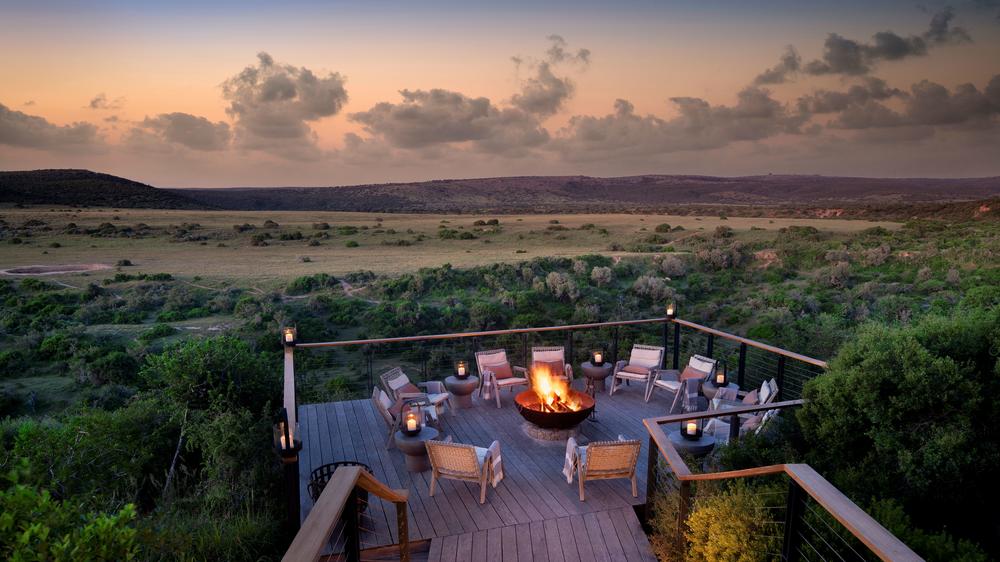 Sindile at Shamwari Private Game Reserve