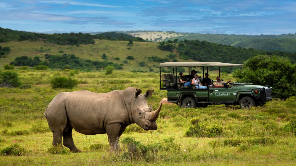 Sindile at Shamwari Private Game Reserve