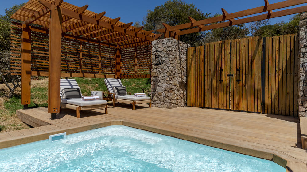 Sindile at Shamwari Private Game Reserve