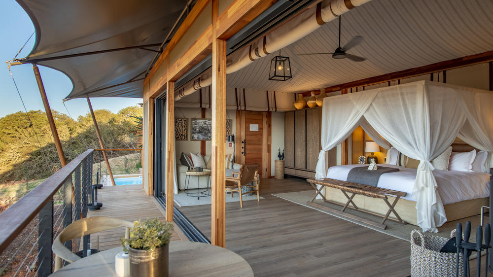 Sindile at Shamwari Private Game Reserve