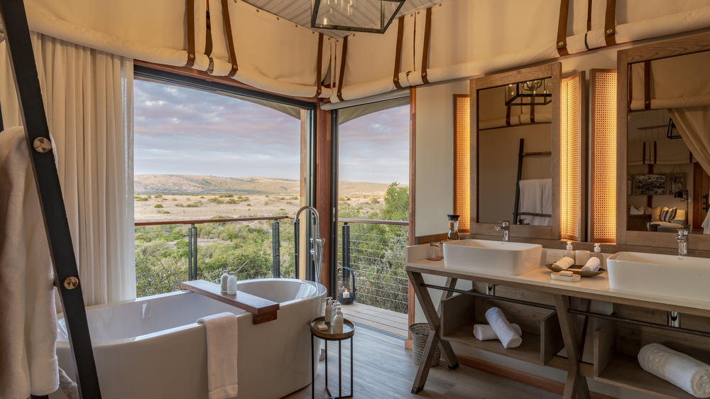 Sindile at Shamwari Private Game Reserve