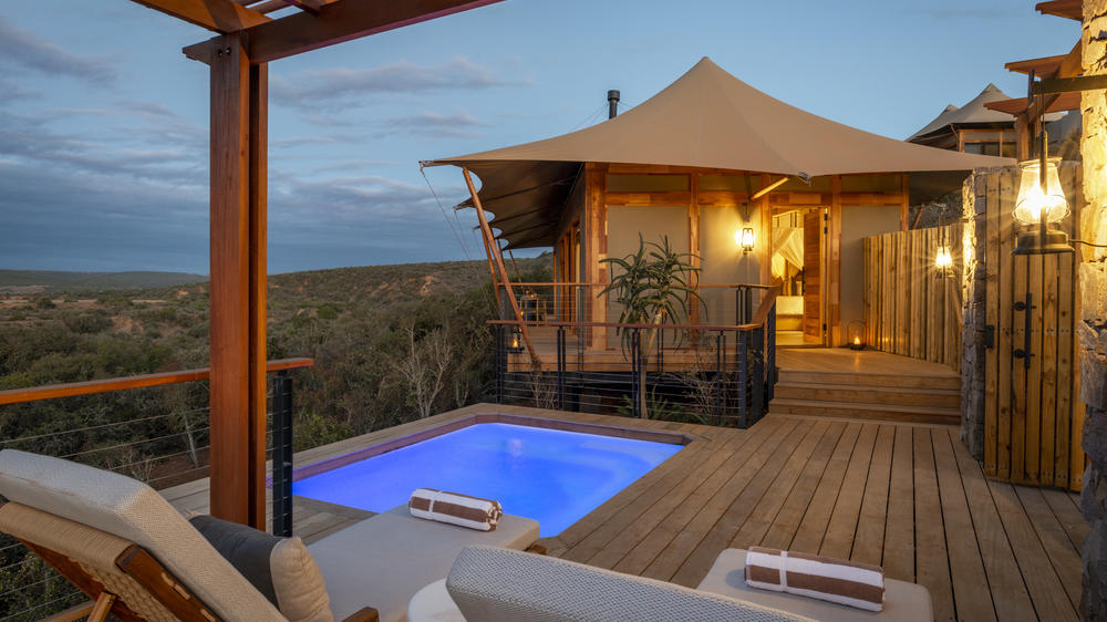 Sindile at Shamwari Private Game Reserve