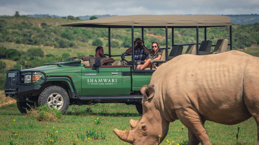 Sindile at Shamwari Private Game Reserve