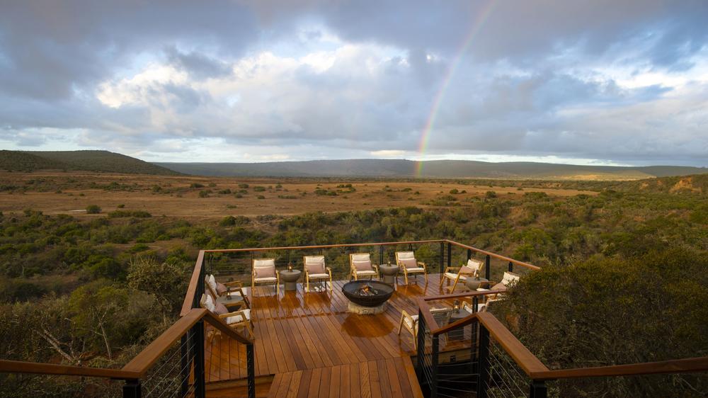 Sindile at Shamwari Private Game Reserve