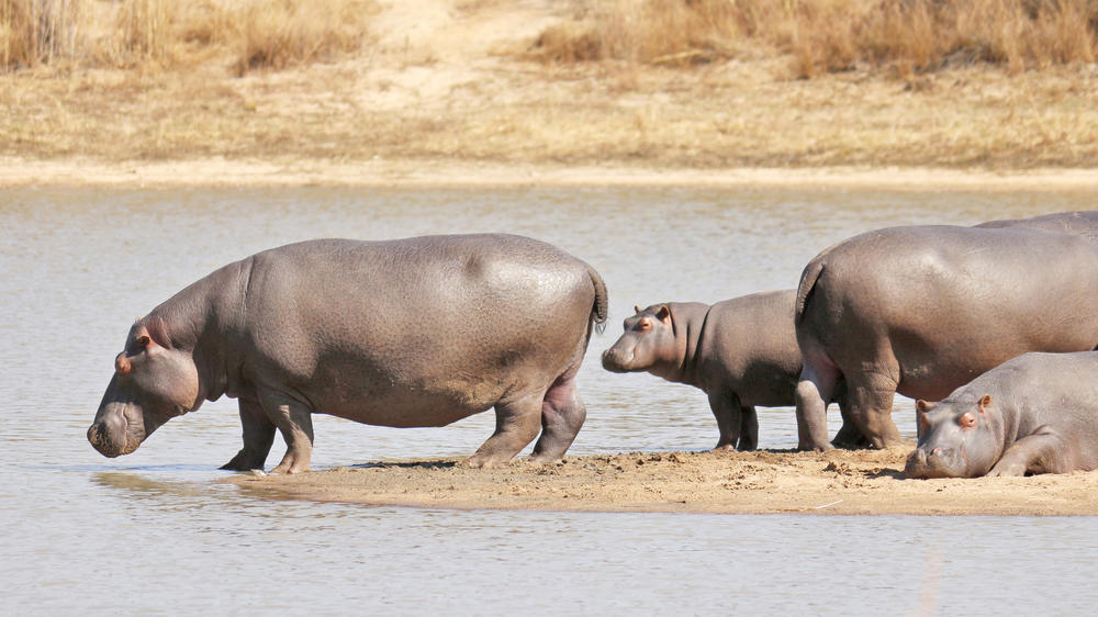 Matobo National Park