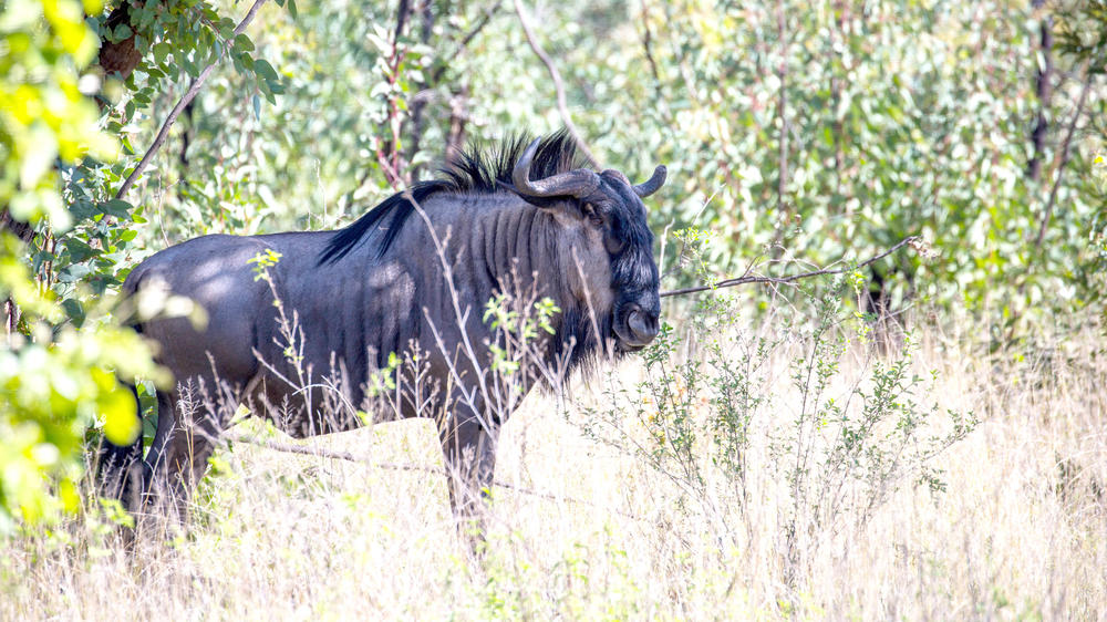 Matobo National Park