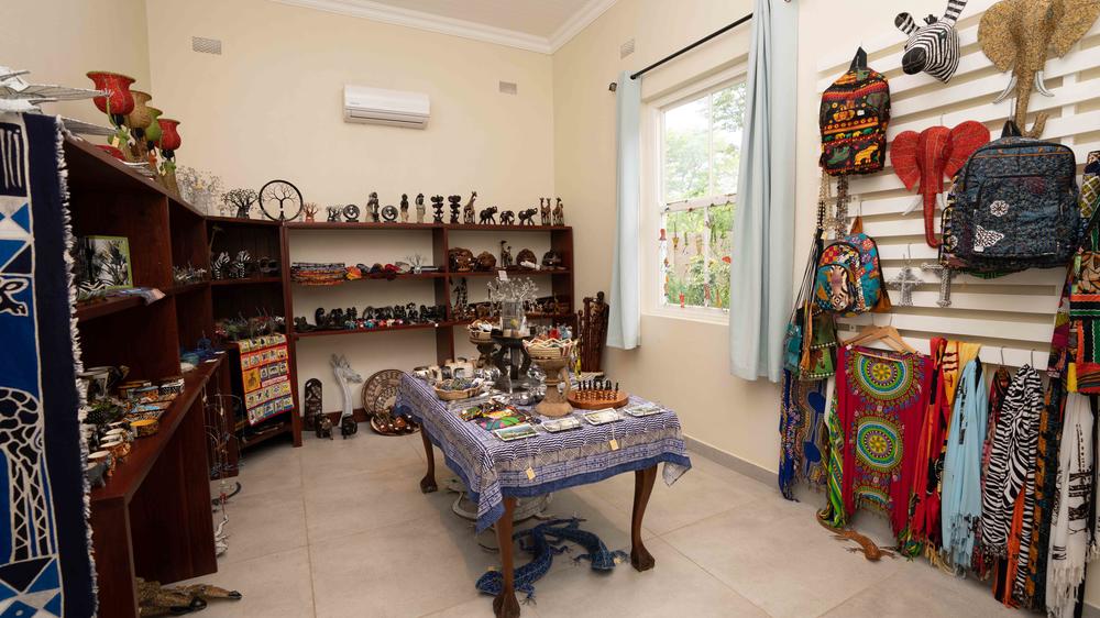 Pioneers Victoria Falls