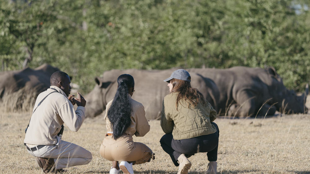 Sindabezi Island Lodge