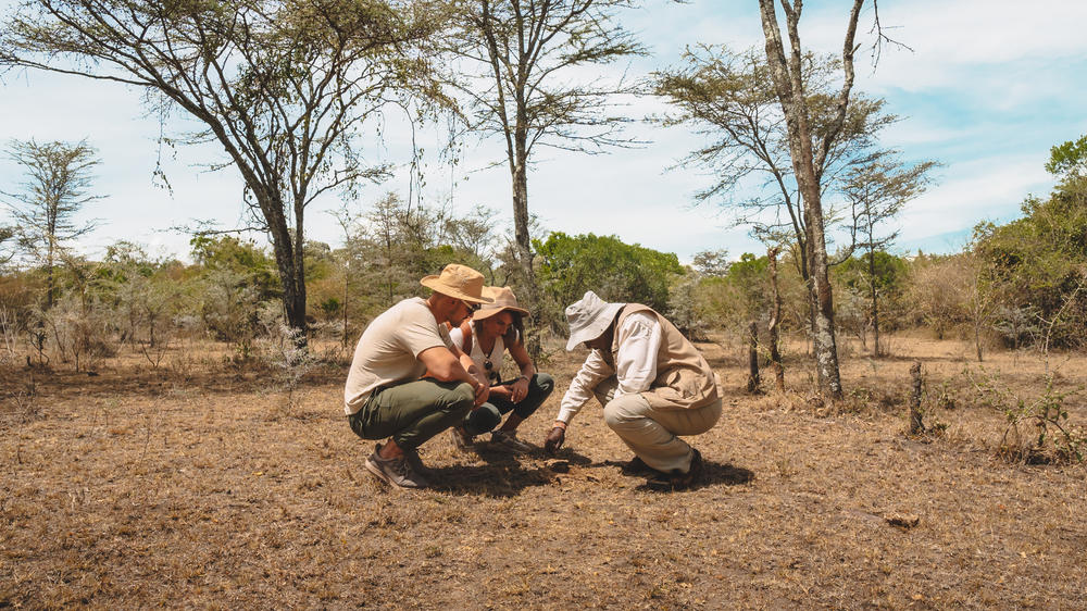 Instinct of the Mara 