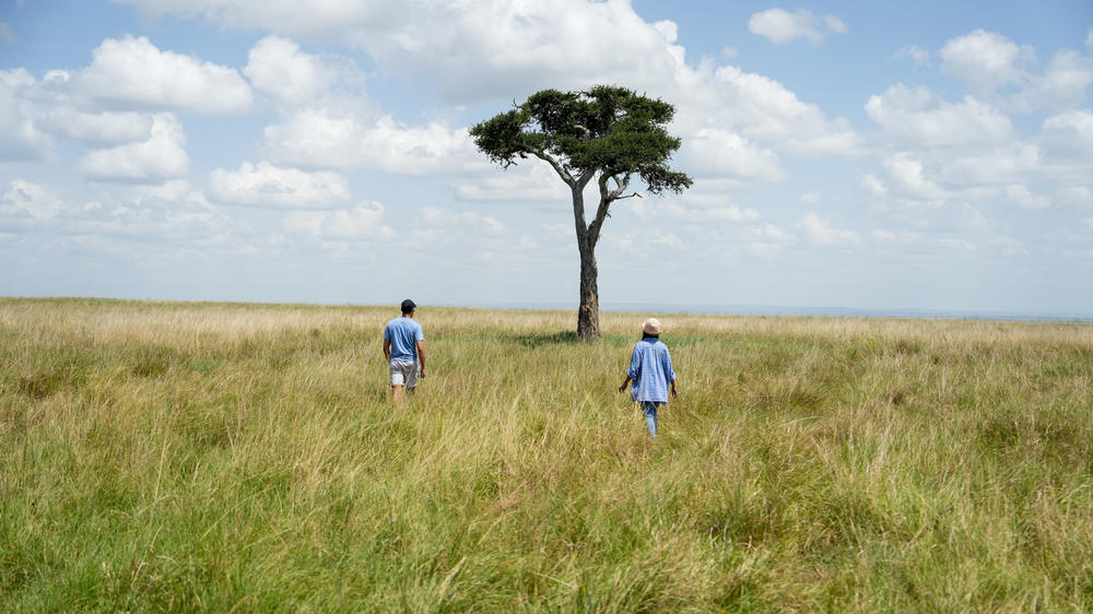 Instinct of the Mara 