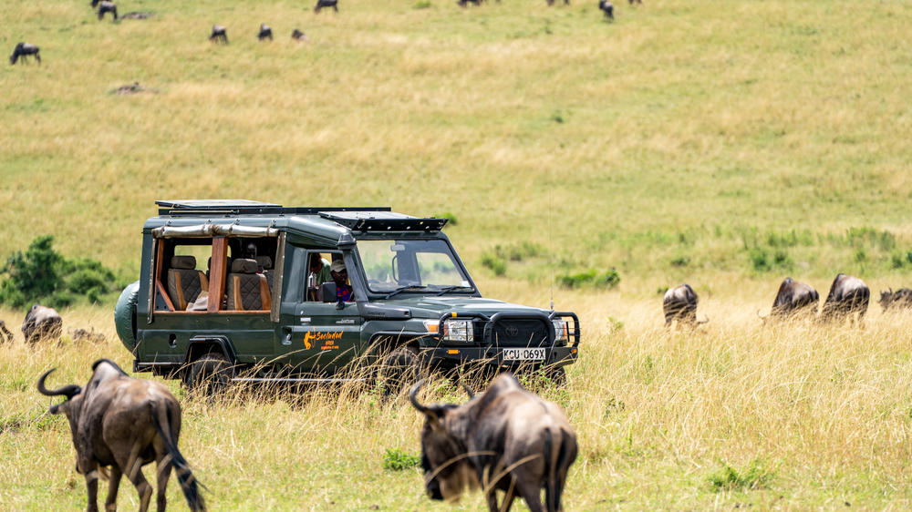 Instinct of the Mara 