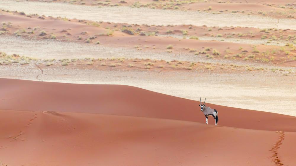 Kwessi Dunes