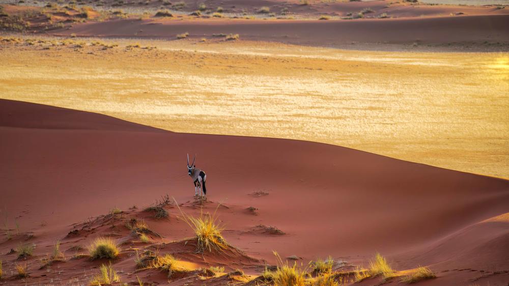 Kwessi Dunes