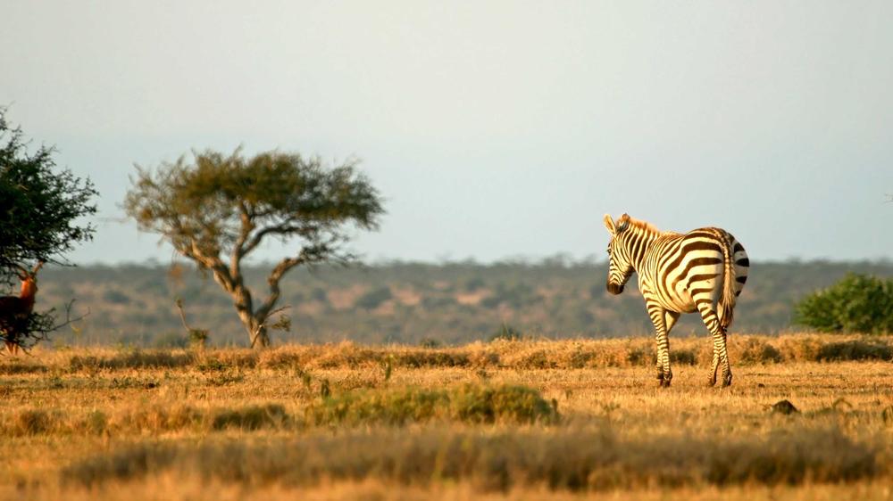 Laikipia