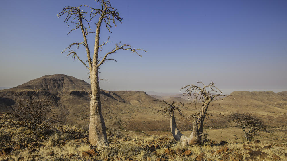 Etendeka Mountain Camp