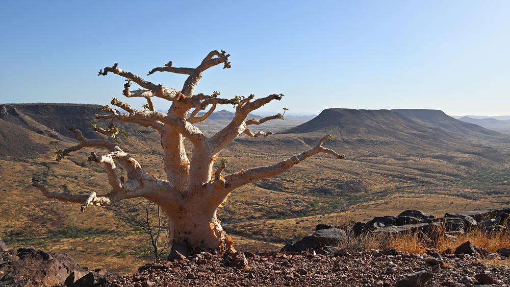 Etendeka Mountain Camp