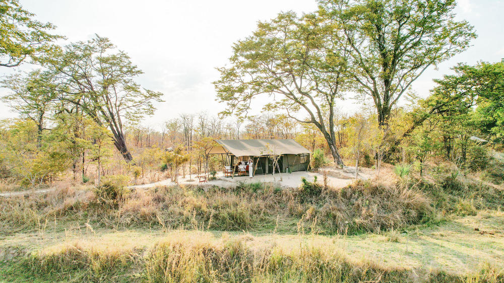 Zambia - 7-Day Return to the Wild Safari - Tailored Driven