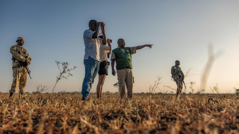 Elewana Elsa’s Kopje Meru