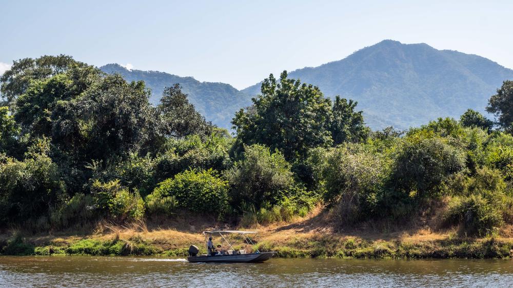 Time + Tide Chongwe Camp